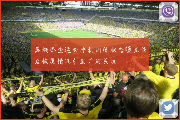 苏炳添全运会冲刺训练状态曝光伤后恢复情况引发广泛关注