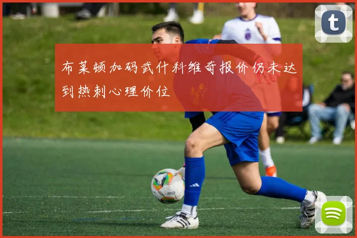 布莱顿加码武什科维奇报价仍未达到热刺心理价位